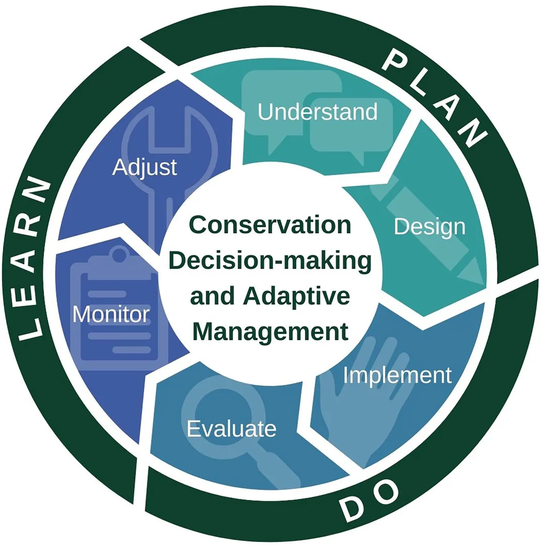 An infographic dividing the plan, learn, and do phases of the adaptive management cycle into six subcategories: understand, design, implement, evaluate, monitor, and adjust