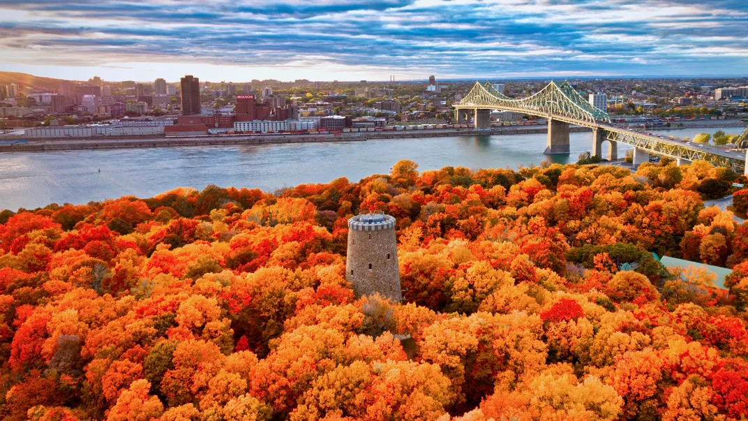 Montréal and the St. Lawrence River in autumn