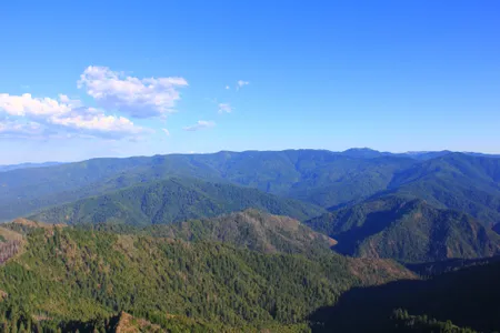 Wild Rogue Wilderness Area