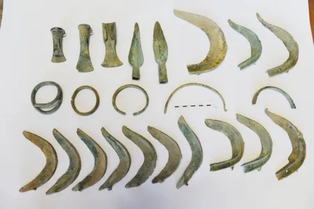 Monty, the dog that found the Bronze Age relics, unearthed 13 sickles, two spear points, three axes and several bracelets.