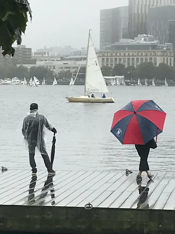 Spectators at a regatta thumbnail