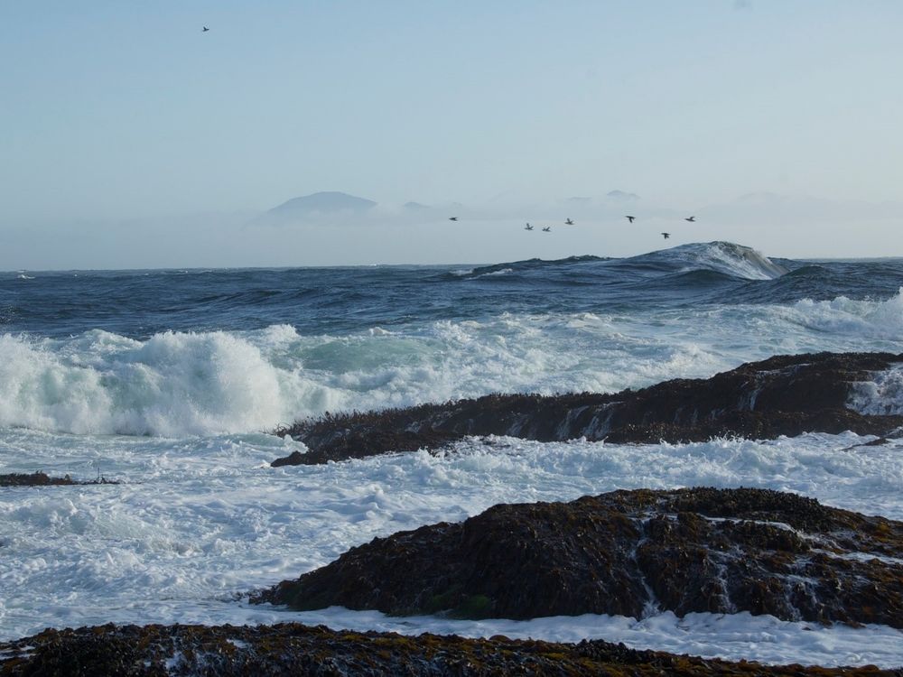 As the ocean continues to warm, scientists look to the past for answers on how to manage today’s environmental problems. (Sophie McCoy/NOAA)