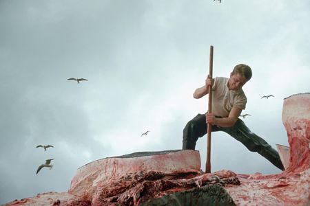A man butchers a whale in 1968
