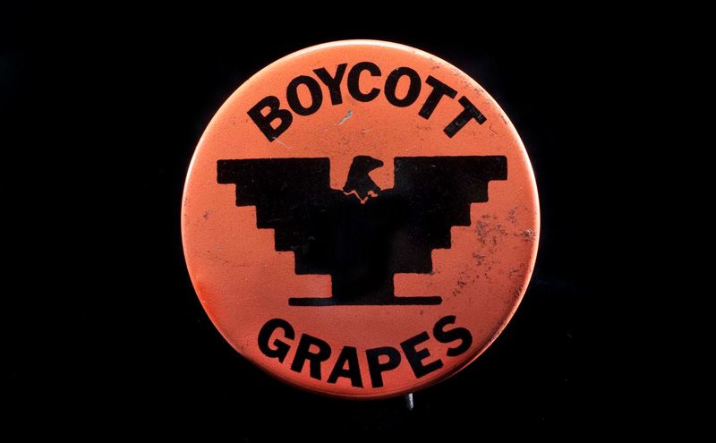 ‘Boycott Grapes’ UFW Button