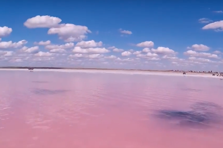 Lake Burlinskoye in June, 2016.