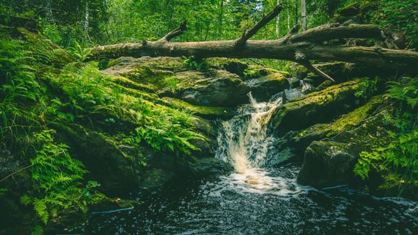 small waterfall in the green forest thumbnail