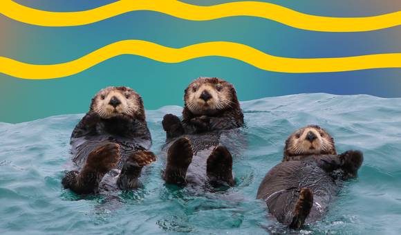 sea otters.png