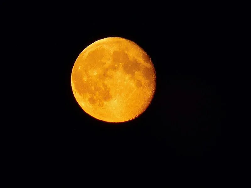 Harvest Moon