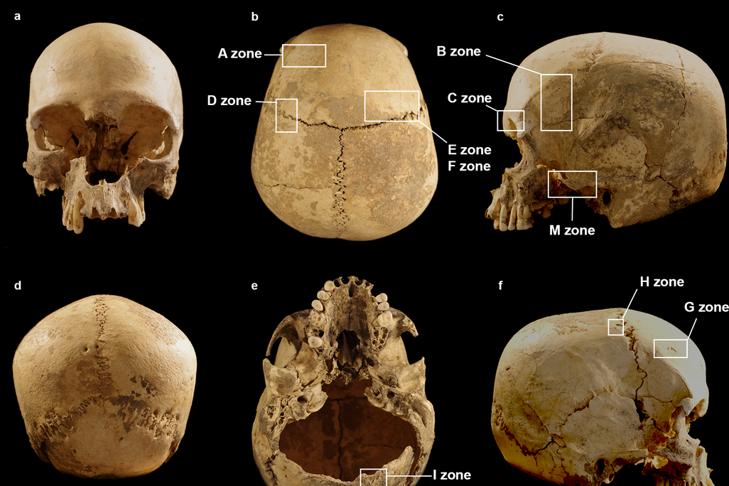 skull found in Italian cave