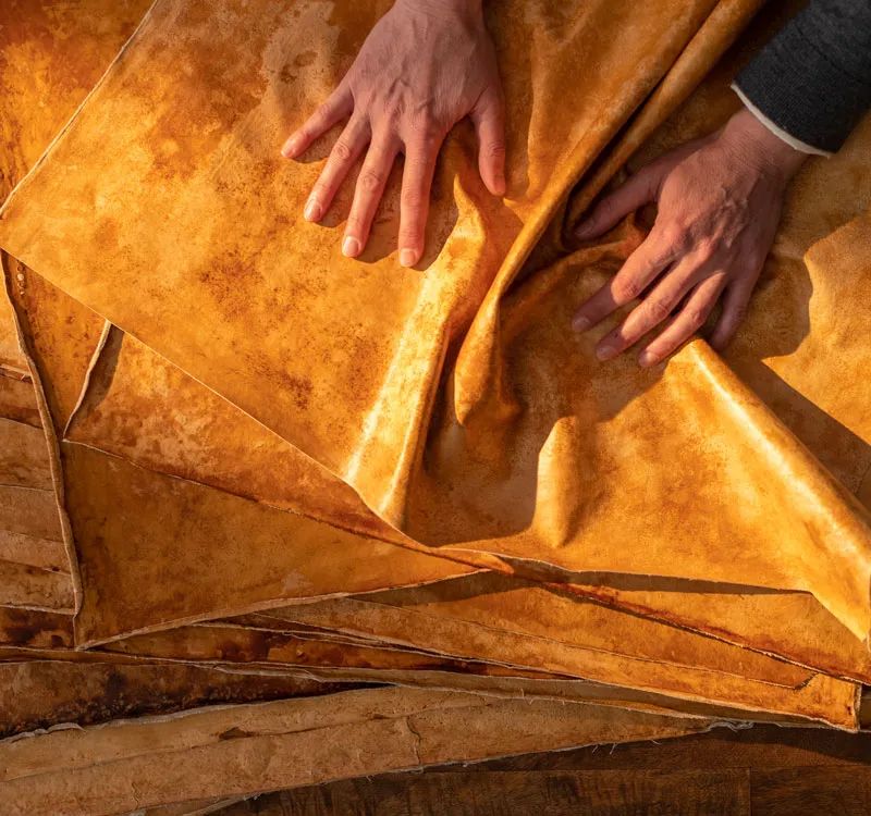 An image of human hands showcasing leather made from mushrooms