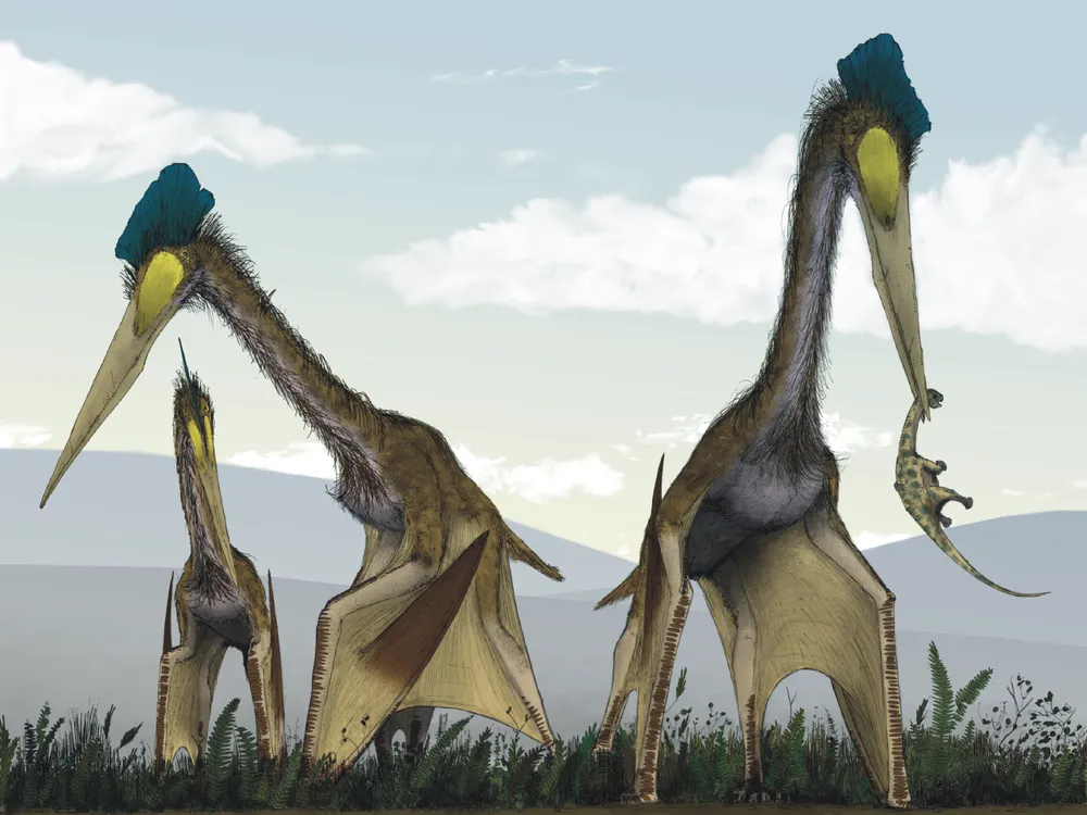 Science: evidence is intelligence - Jet-Size Pterosaurs Took Off