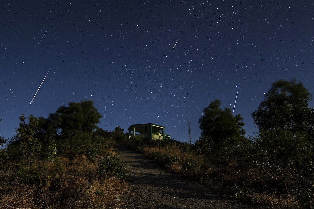 a few meteors in the sky over trees and a shed