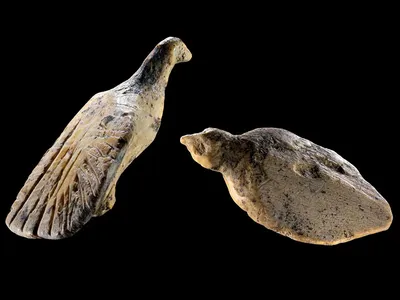 Archaeologists Discover Two Thumbnail-Size Bird Sculptures Carved From Mammoth Ivory 40,000 Years Ago image