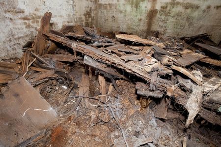 Inside the semi-subterranean 19th-century burial vault, conditions had deteriorated. The wooden shelves that held the caskets of nearly two dozen individuals had disintegrated. Bones were exposed.