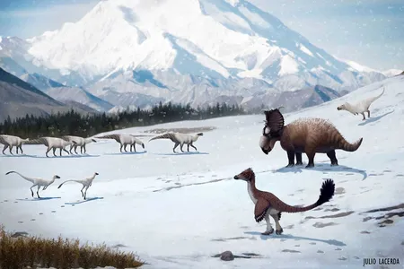 Dinosaurs found in Alaska's Prince Creek formation likely remained in the region when it snowed during the winter.