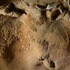 Oldest Known Neanderthal Engravings Were Sealed in a Cave for 57,000 Years icon