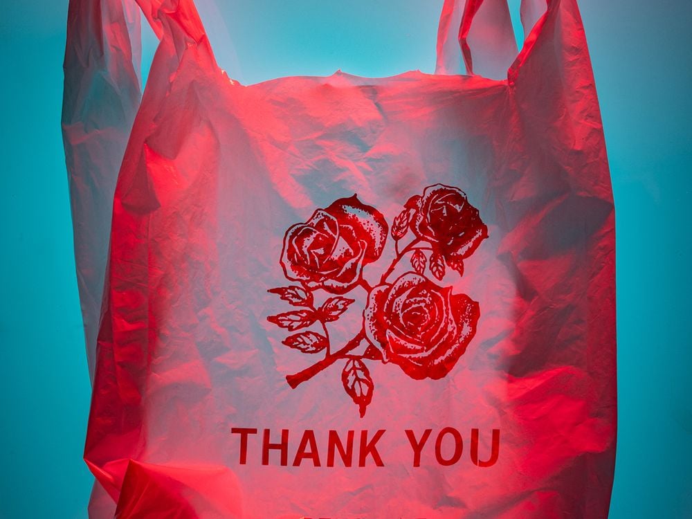 Translucent Pink Plastic Thank You Bag With Blue Gel Background Canon