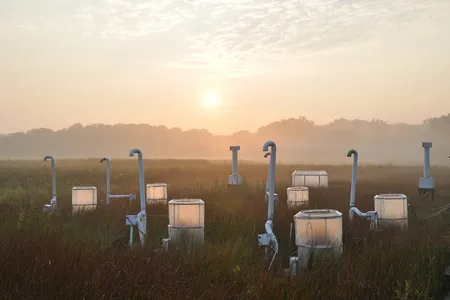 “We’ve been raising CO2 in this marsh for 30 years, but [elevated] CO2 comes with warming,” says Pat Megonigal, lead researcher of the new study in the Global Change Research Wetland at Smithsonian Environmental Research Center (SERC).