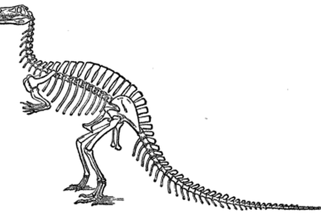20110520083135megalosaurus-extinct-monsters.jpg