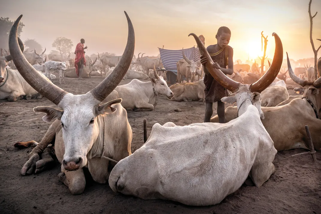 See the Spectacular Winners of Smithsonian Magazine’s 23rd Annual Photography Contest