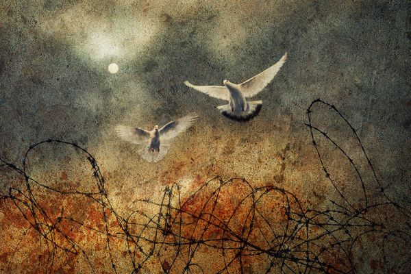 War and Peace thumbnail