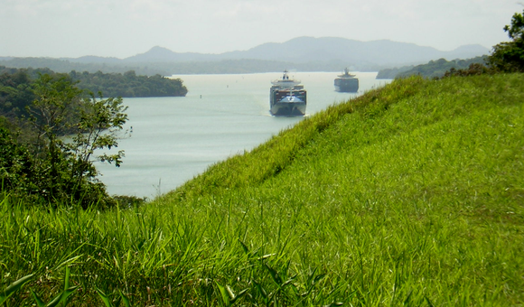 Many terrestrial birds disappeared in Barro Colorado Island, in the Panama Canal, despite their abundance in adjacent mainland forests, because they could not cross Gatun Lake to maintain populations on the island. (Ghislain Rompre)