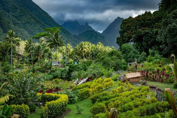 View of a tropical setting on Tahiti-iti thumbnail