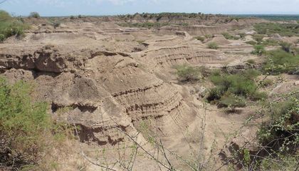 East Africa&rsquo;s Oldest Modern Human Fossil Is Way Older Than Previously Thought