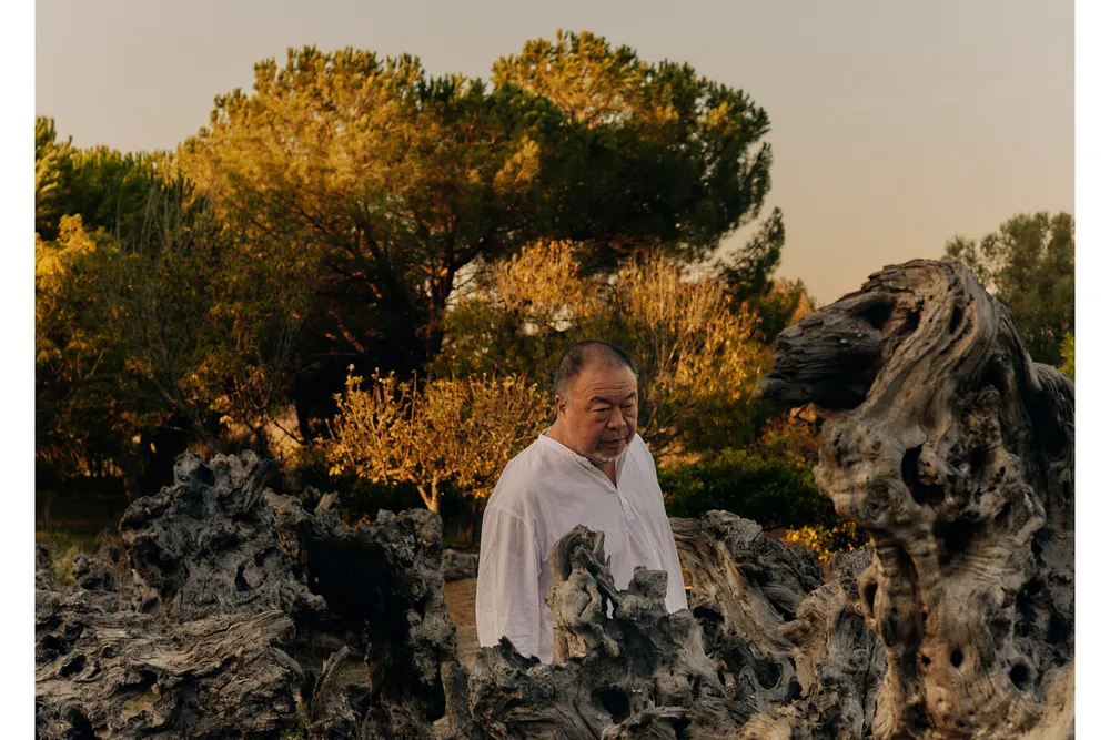 Opener - Ai Weiwei