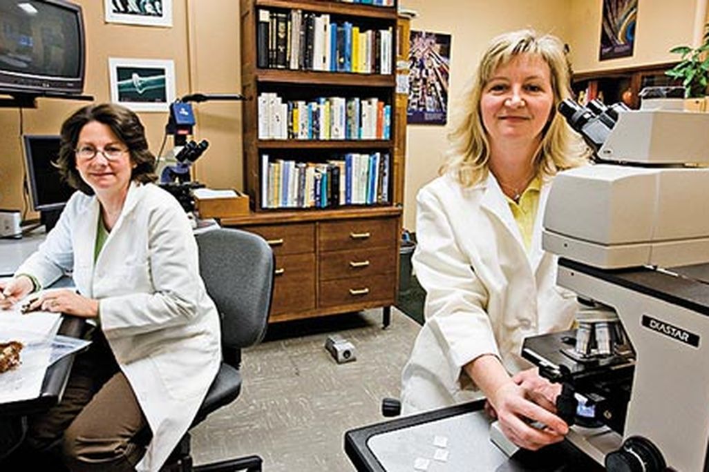 Smithsonian Feather Identification Laboratory
