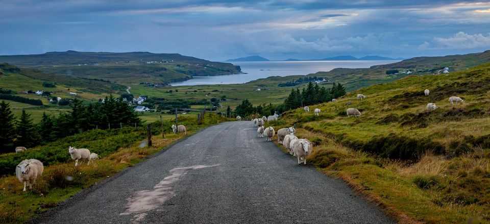  Sharing the road on the Isle of Skye 