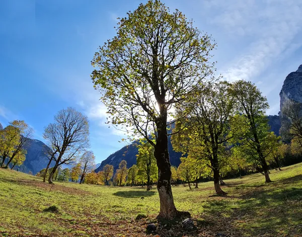 Ahornboden Austria thumbnail