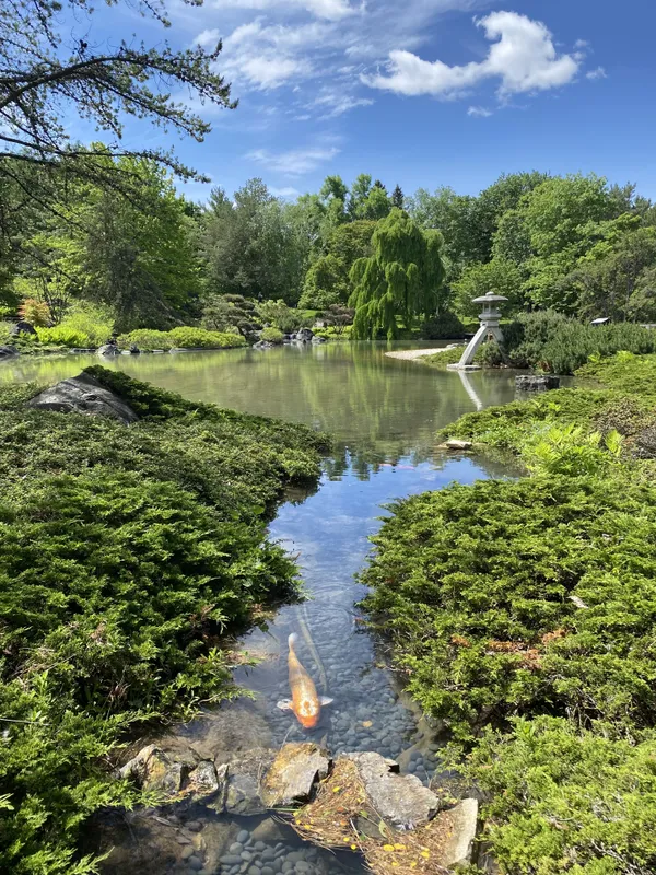 Japanese Garden thumbnail