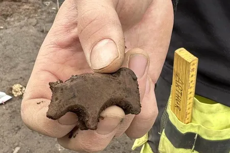 Reserachers believe Viking children once played with this animal figurine.