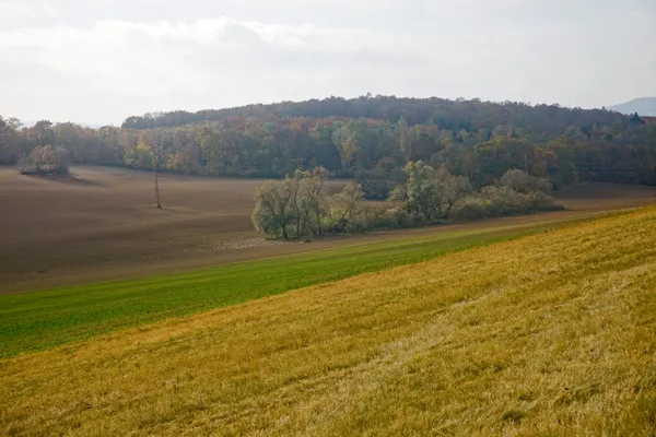 Autumn Bohemian fields thumbnail