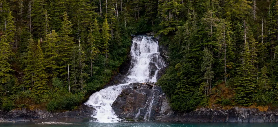  Waterfall amid the forest, Endicott Arm 
