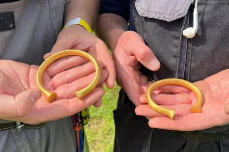 Andy Crammond and&nbsp;Alan Daniels discovered the three gold armbands while surveying a field near the Scottish-English border.