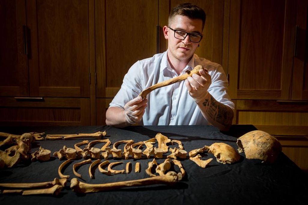 inspecting bones