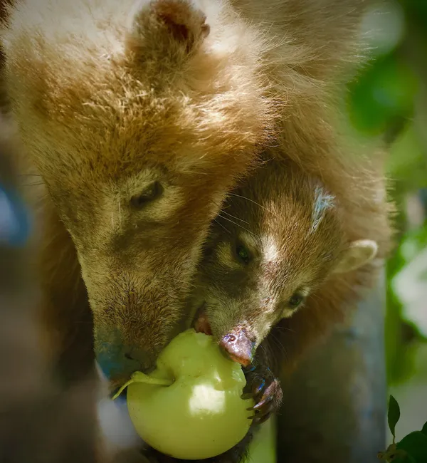 Sharing is Caring thumbnail