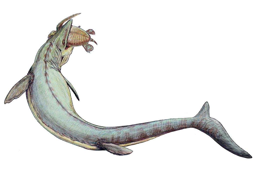 Mosasaurus