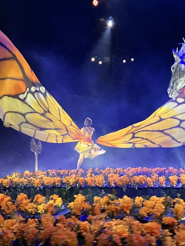 Spreading her Wings thumbnail