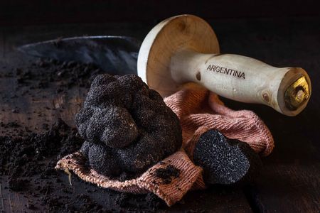 Truffles have spread around the world, including to countries in South America.