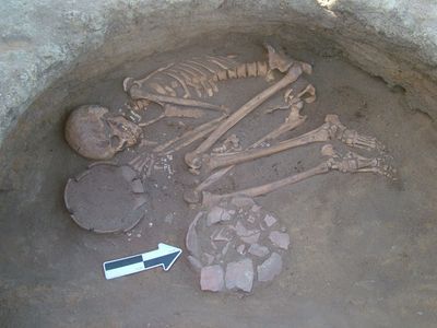 The skeleton of a young man, whose tooth plaque was used in the study. 