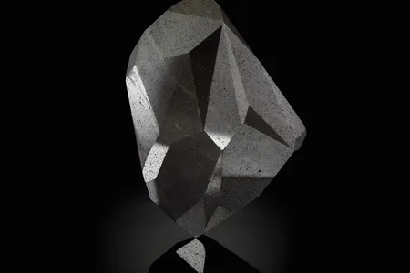 The 55-faceted gemstone is believed to be the largest cut black diamond in the world.