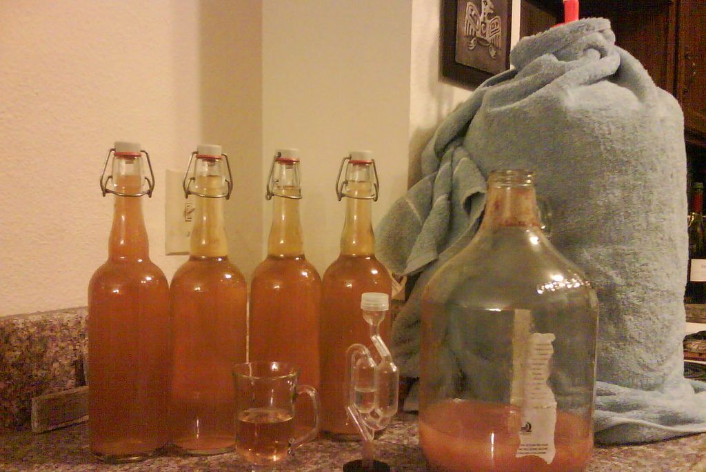 Cider