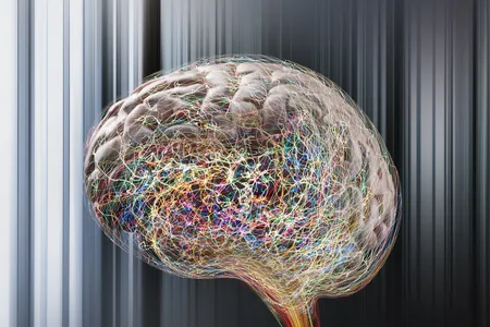The artificial intelligence has looked for patterns between audio recordings and the brain activity of people listening to those recordings.&nbsp;
