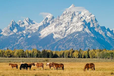 Mountains don't all look like this. 