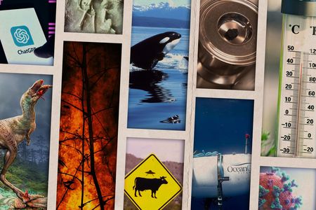 Advances in artificial intelligence and dinosaur discoveries were just some of the major science stories this year.