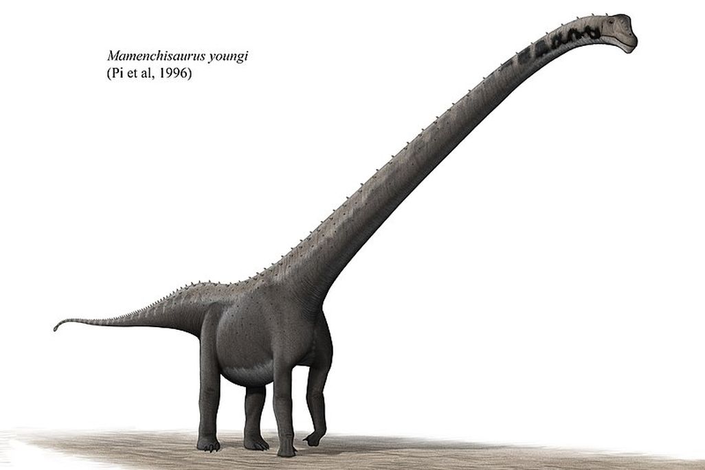 Mamenchisaurus