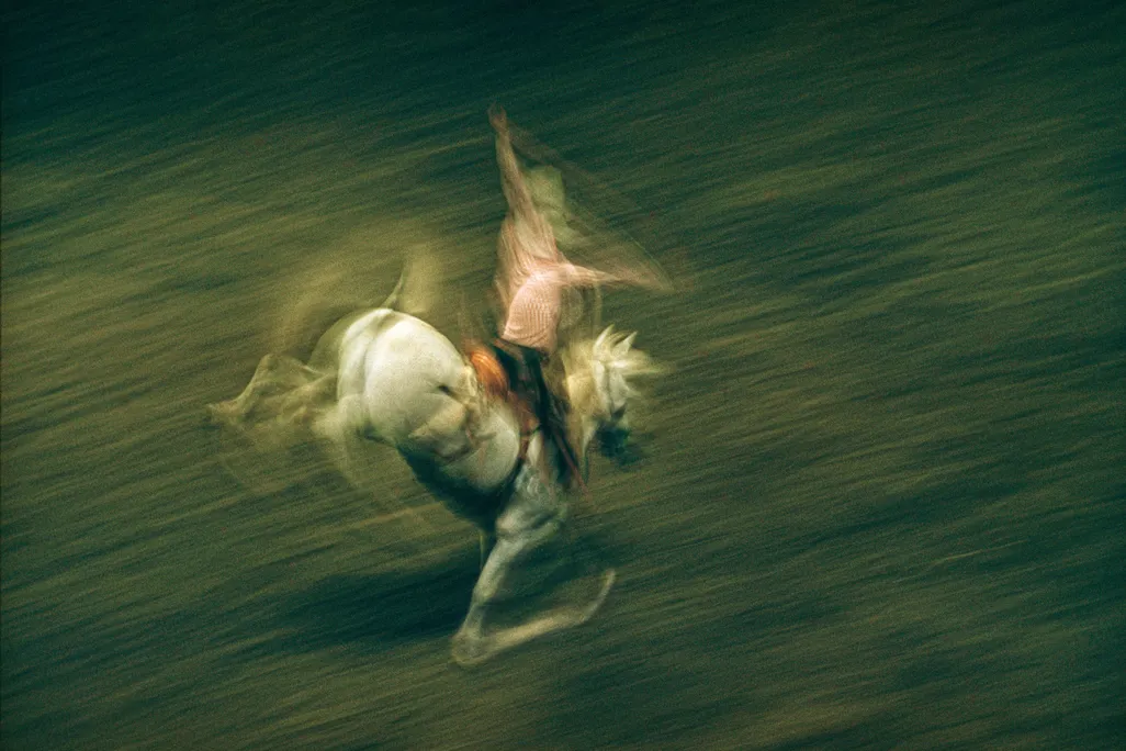 A rider holds onto a bucking horse